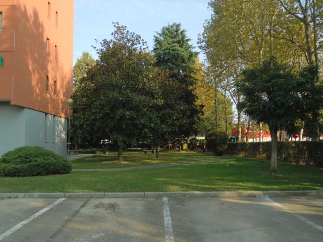 dscn3185.jpg